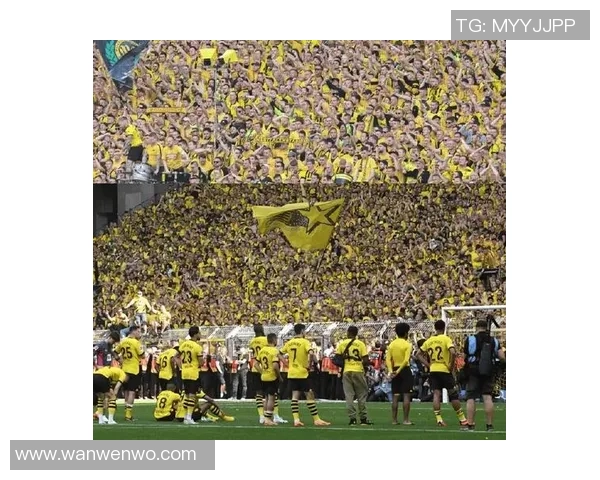 足球大黄蜂队当家球星领衔新赛季冲击目标目标团队和个人荣誉双重追求